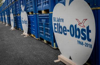 Elbe-Obst